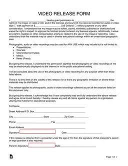 Video Release Agreement - Usage and Rights of Personal Image and Voice form preview